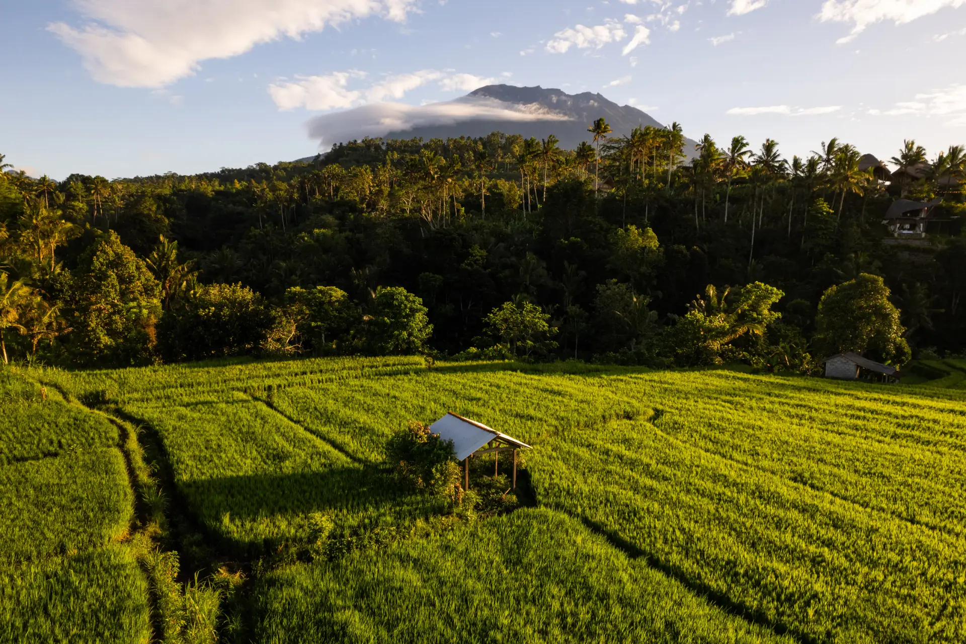 Bali landscape viewed from above for itinerary planning