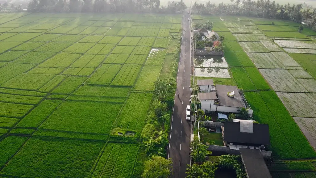 Canggu bali lush green paddy fields with road aerial view