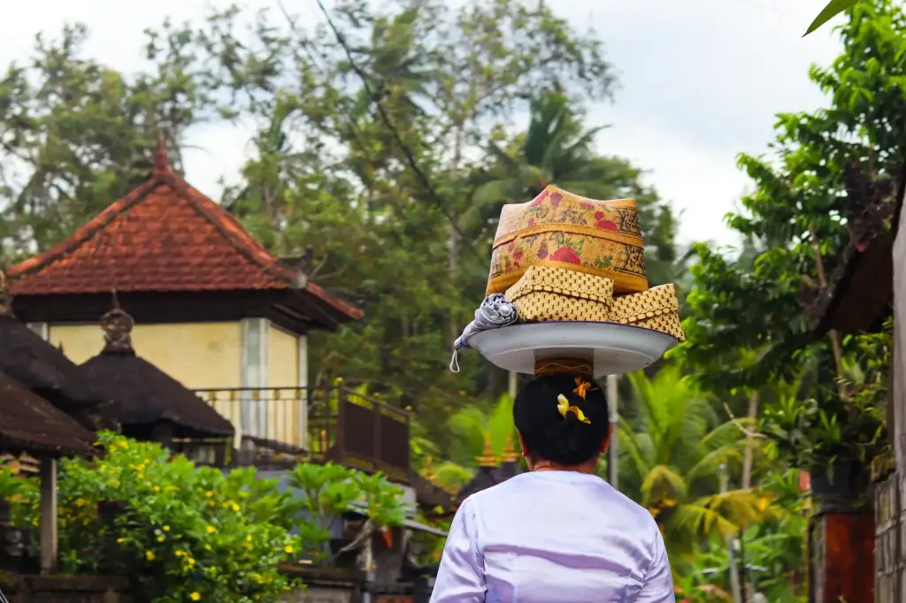 Canggu bali traditional way of carrying produce in baskets on