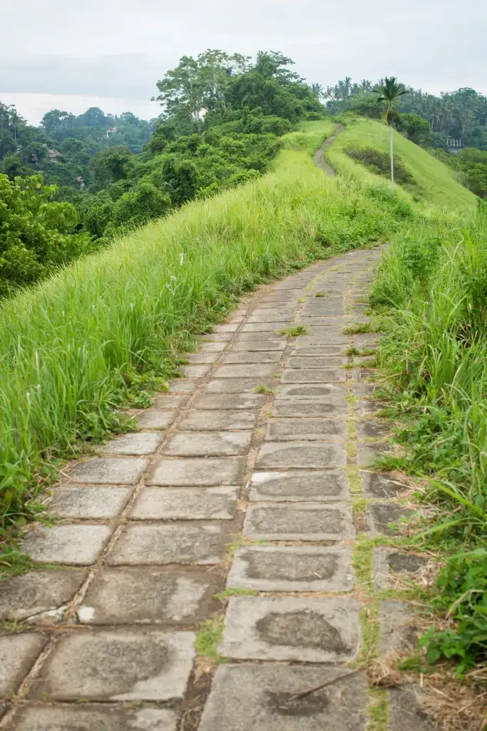 Kuta bali forest trail in bali ubud