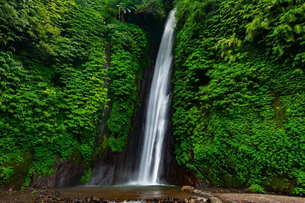 Munduk bali munduk waterfall surrounded by lush jungle bali