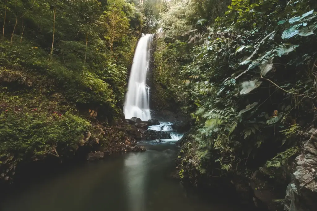 Munduk bali waterfall in the jungle green landscape bali