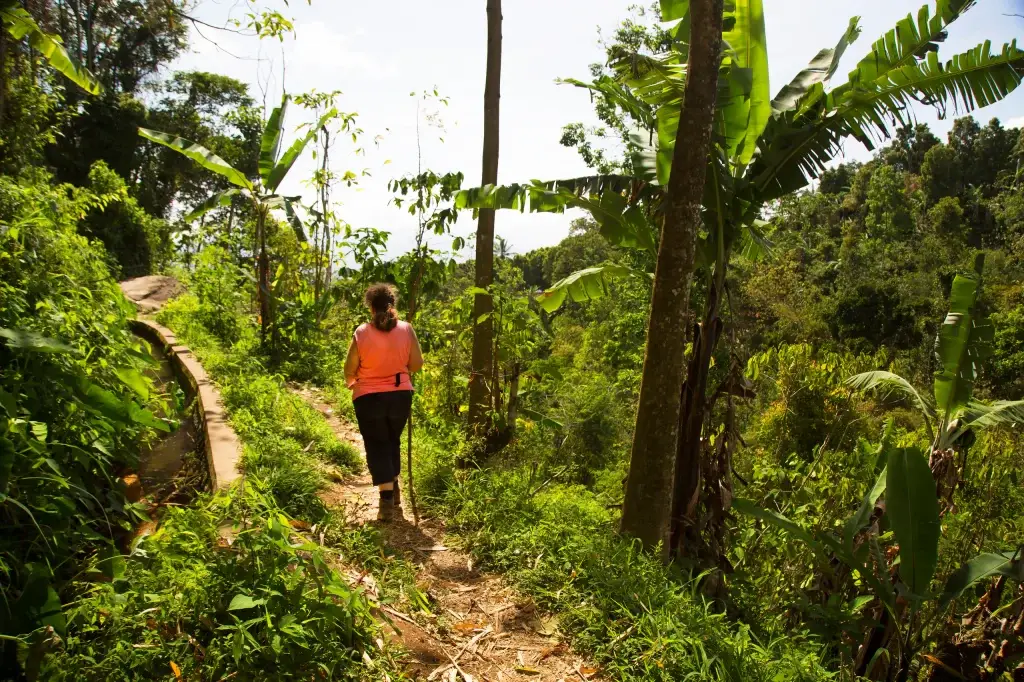 Munduk bali woman walking along a dense jungle path with green