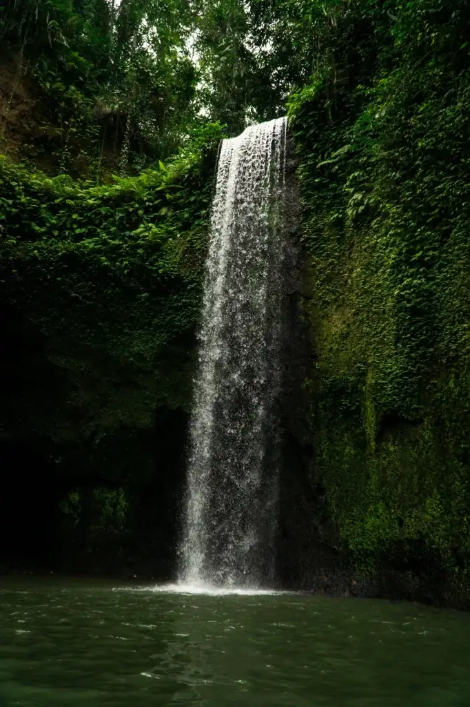 North bali lush waterfall cascading into a pool of water