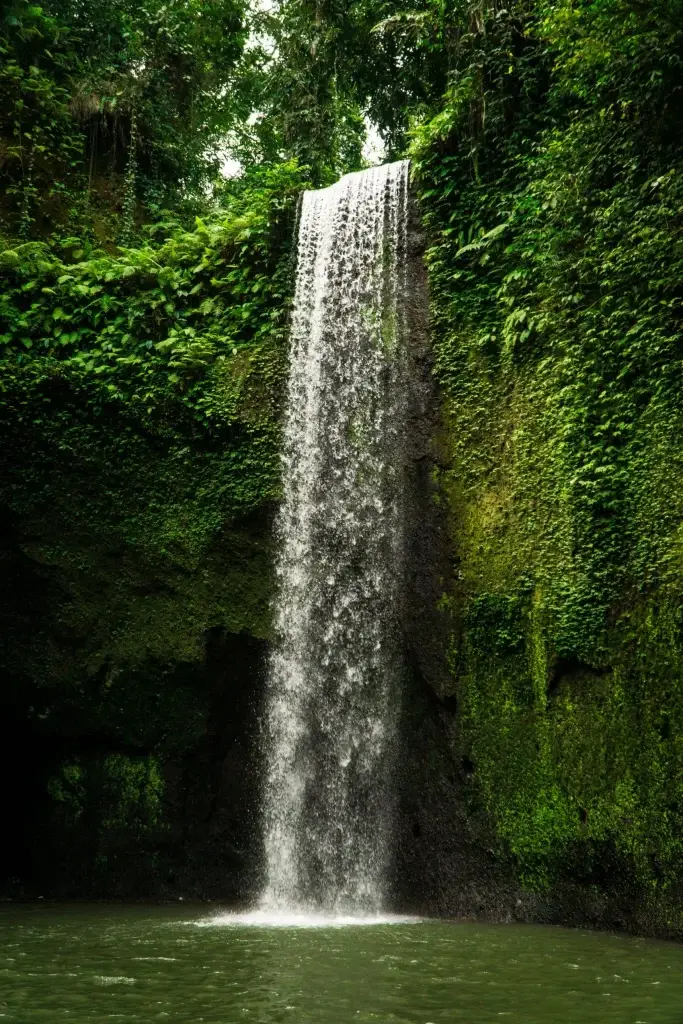 Sanur bali beach lush waterfall scene in tropical forest