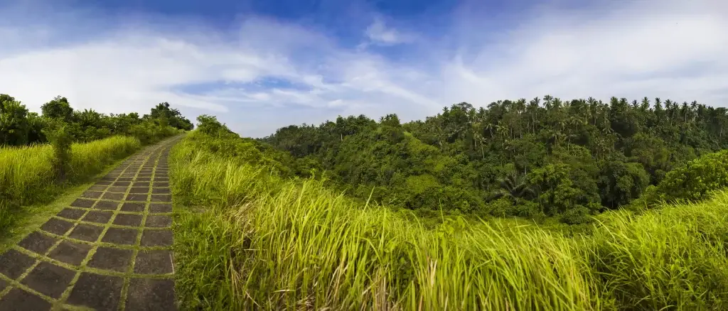 Ubud bali campuhan ridge hiking trail in ubud bali