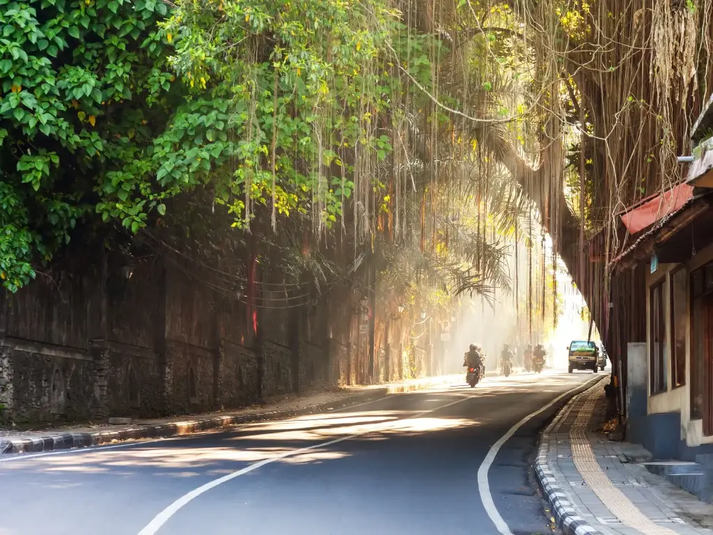 Ubud bali curving street through ubud town bali indonesia