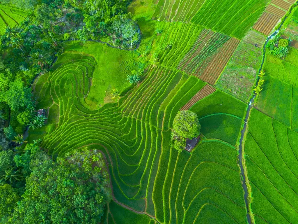 Uluwatu bali beautiful morning view from indonesia